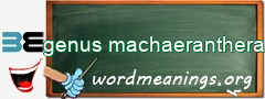 WordMeaning blackboard for genus machaeranthera